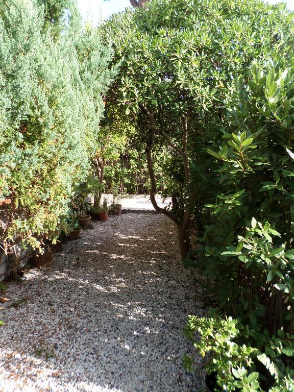 Le Midi Versilia Lido di Camaiore Ngoại thất bức ảnh